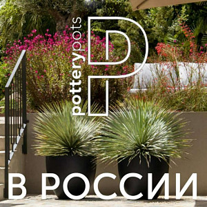 Pottery Pots снова в России